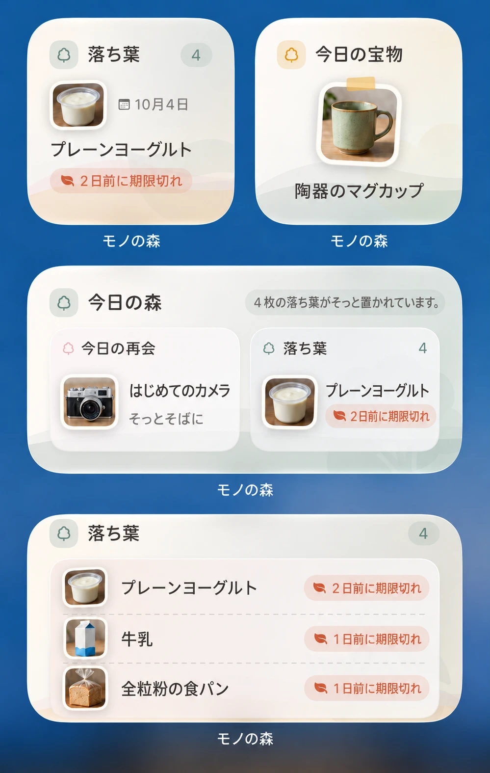 小サイズの落ち葉と今日の宝物、中サイズの今日の森と落ち葉。ヨーグルト、マグカップ、カメラ、牛乳、食パンを表示